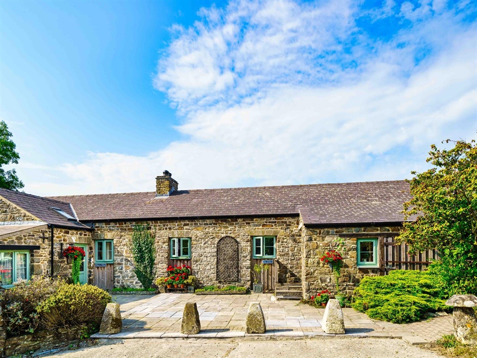 This shows Bron Y Felin and Yr Ydlan cottages