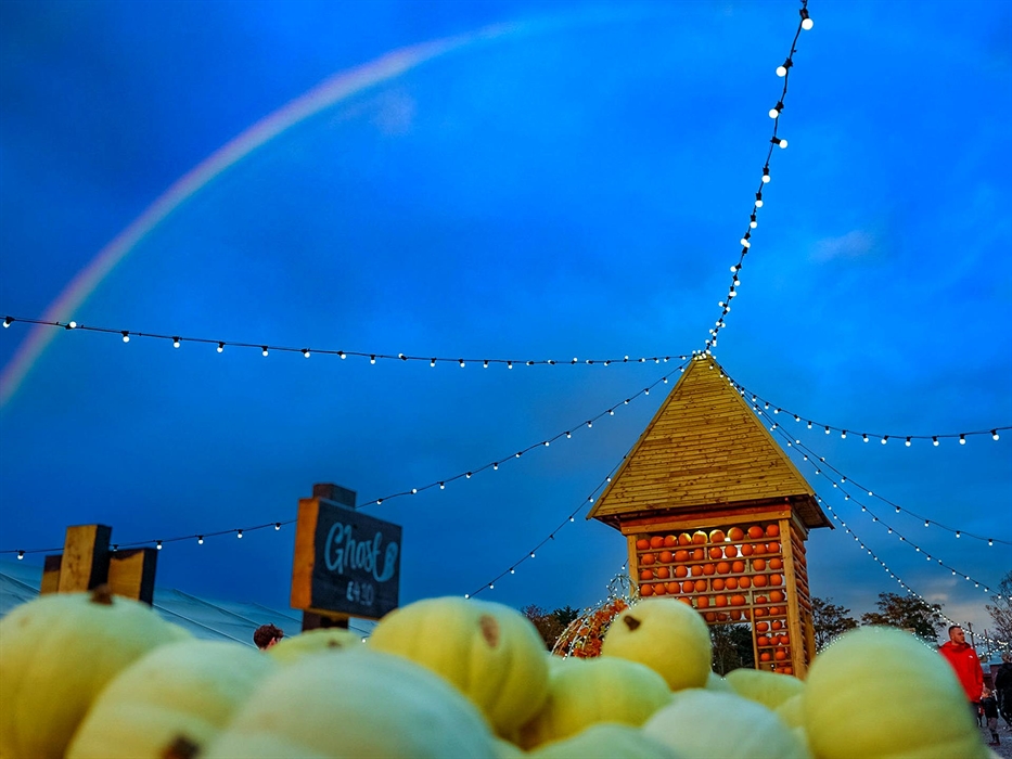 Pumpkin Village at Night