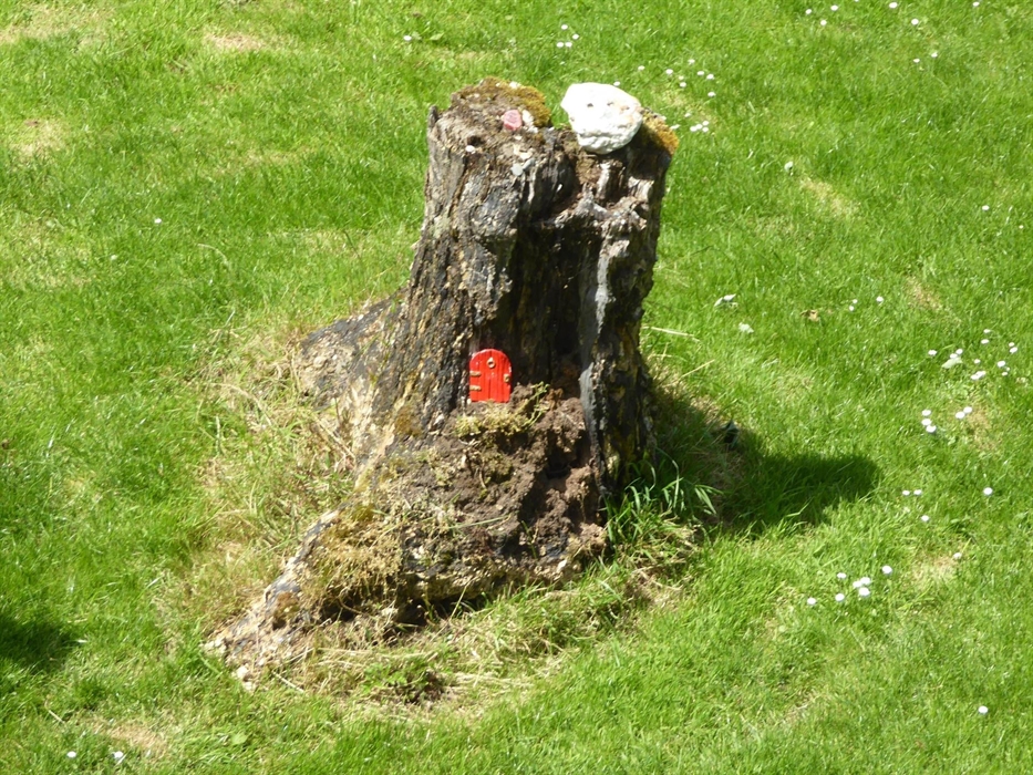 A fairy door in a tree stump. There must be fairies about!