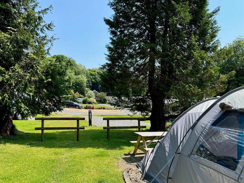 Just 4 spaces for tents