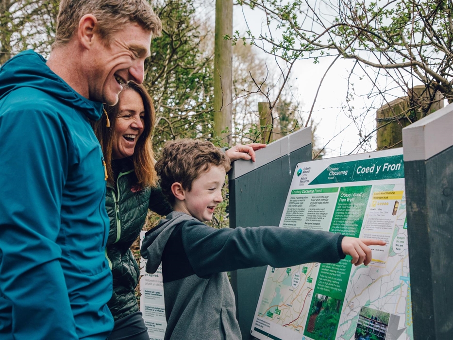 Coed y Fron Wyllt, Clocaenog Forest