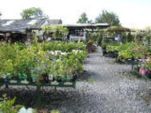 Derwen Garden Centre
