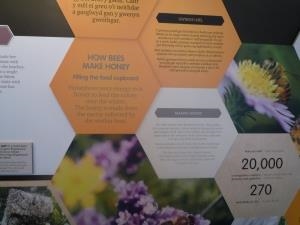 National Beekeeping Centre