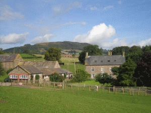 Werngochlyn Farm