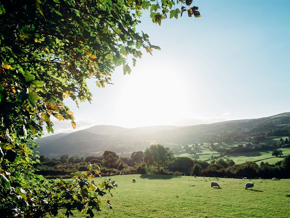 Enjoy fresh air and wide open spaces