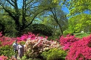 A couple enjoying a sunny day at Clyne Gardens