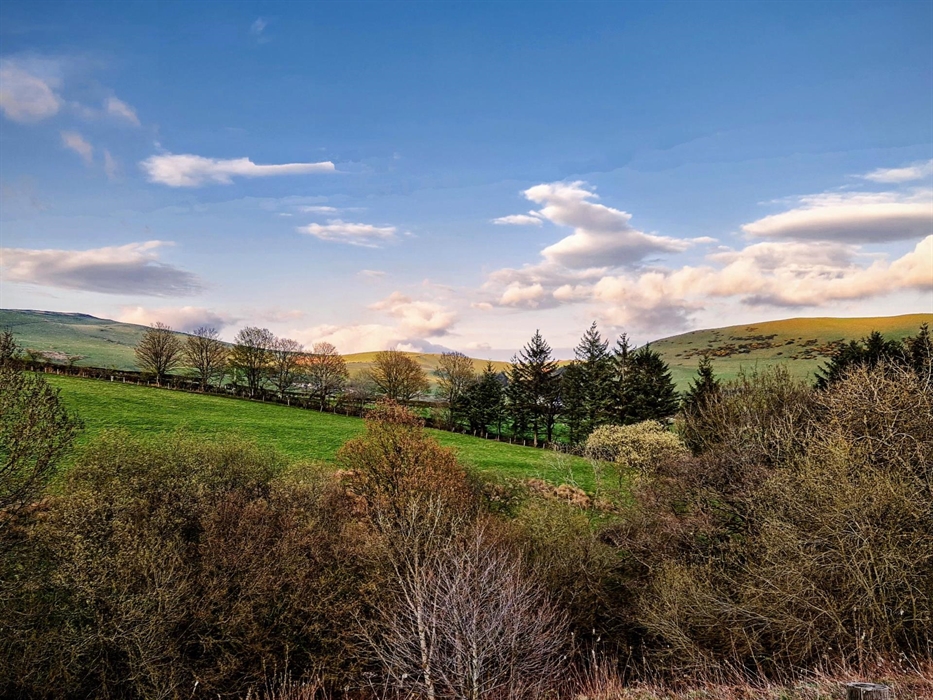 Wild Valley Huts has the pleasure of welcoming guests to the Red Kite Hut & Cuckoo Hut. The surrounding area is rich in nature. Enjoy the hush!