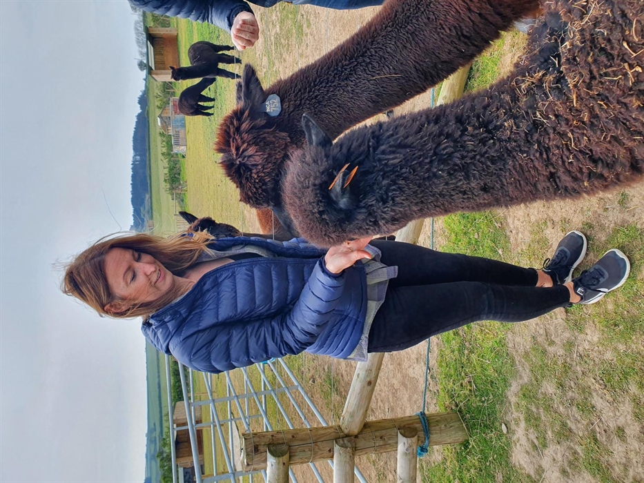 Alpaca Farm Meet and Greets