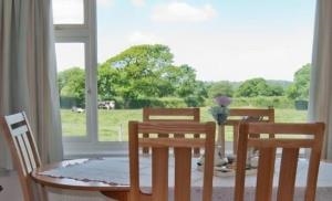 countryside view from the kitchen