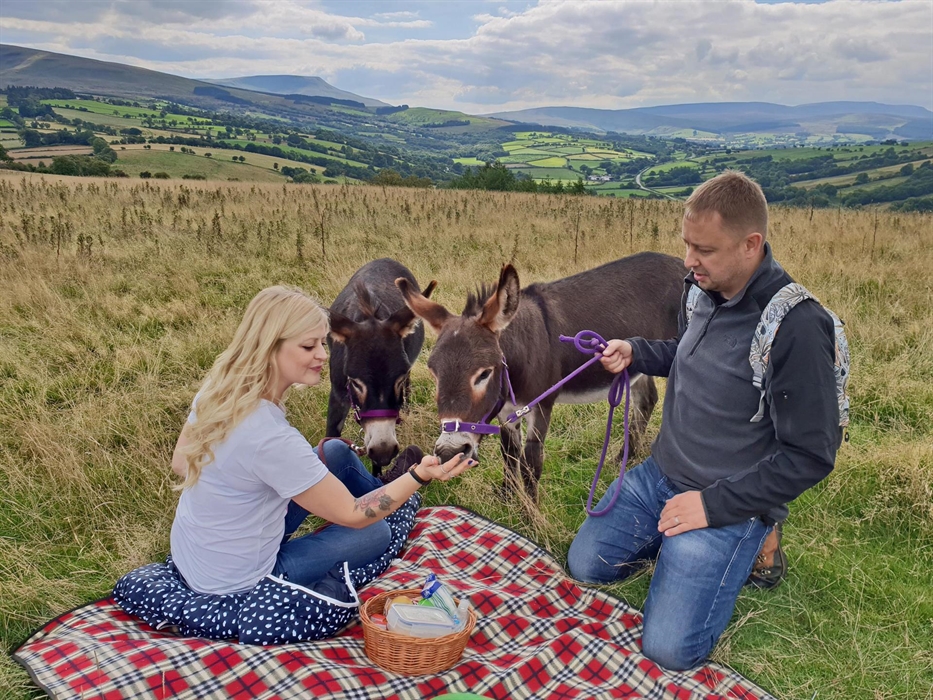 Picnic with mini donkeys with Good Day Out