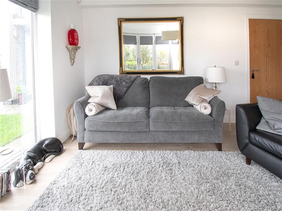 Ceramic pets only allowed here!