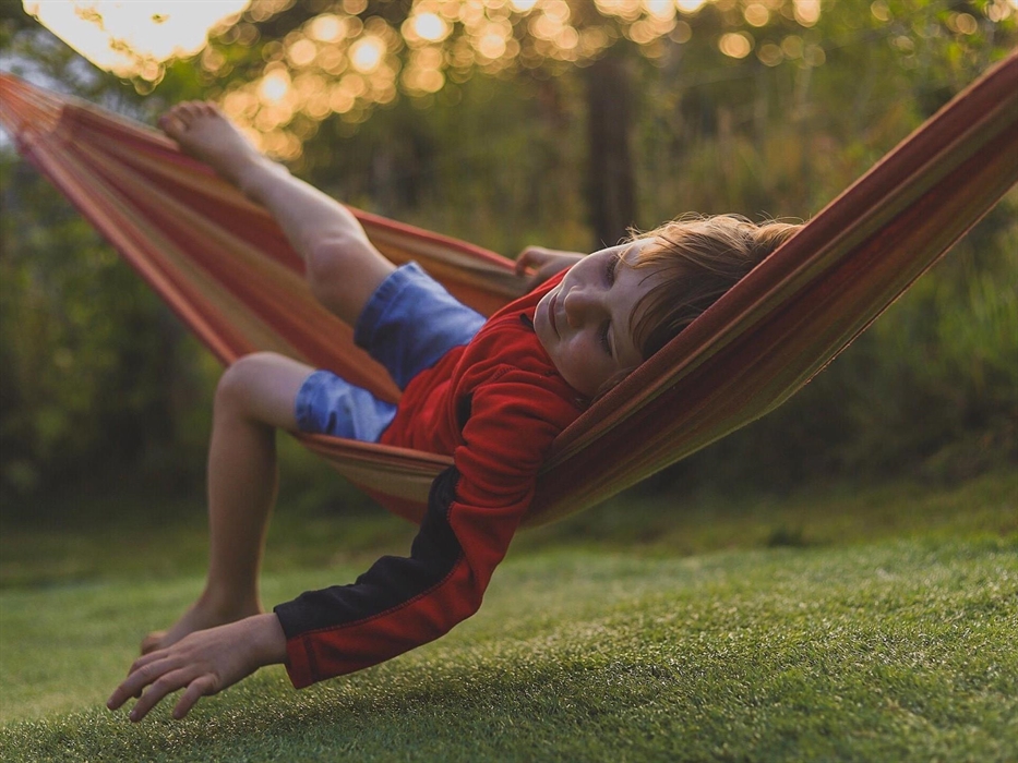Relax in the hammock garden at Top of the Woods