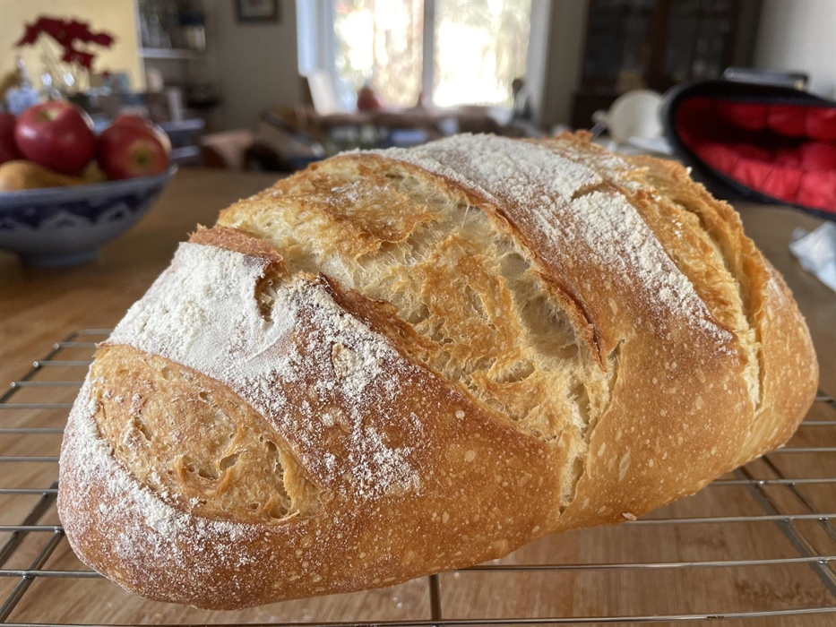 Traditional Swansea crusty white loaf