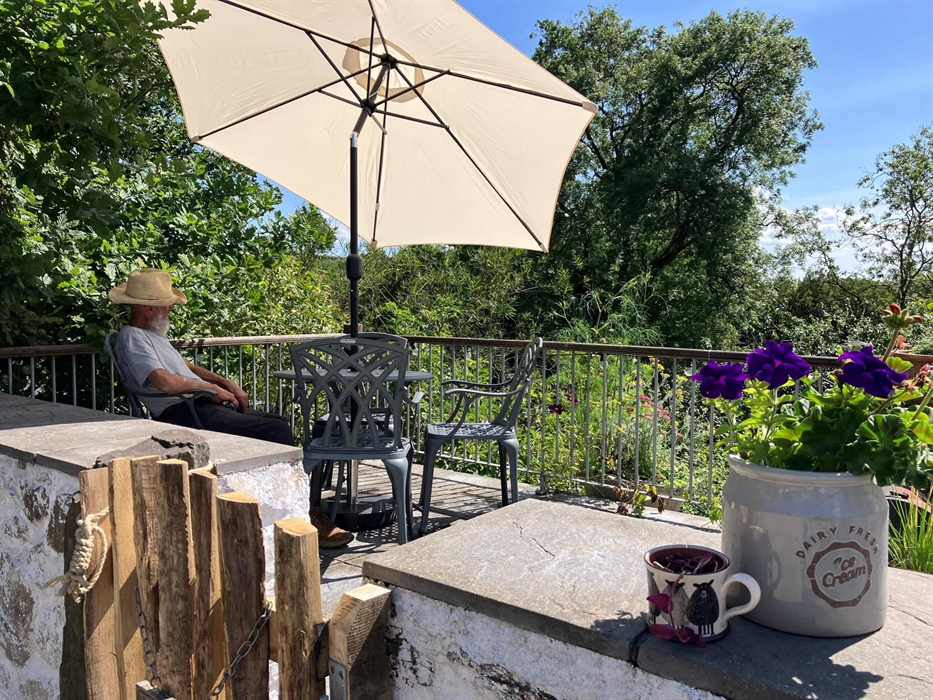 Nantgwynfaen Organic Farm Wales