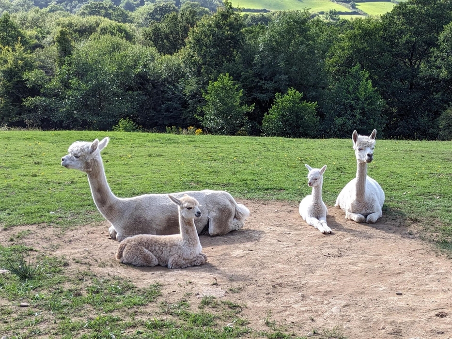 On the left Katherine with baby Aurora and on the right Thursday with baby Abu.