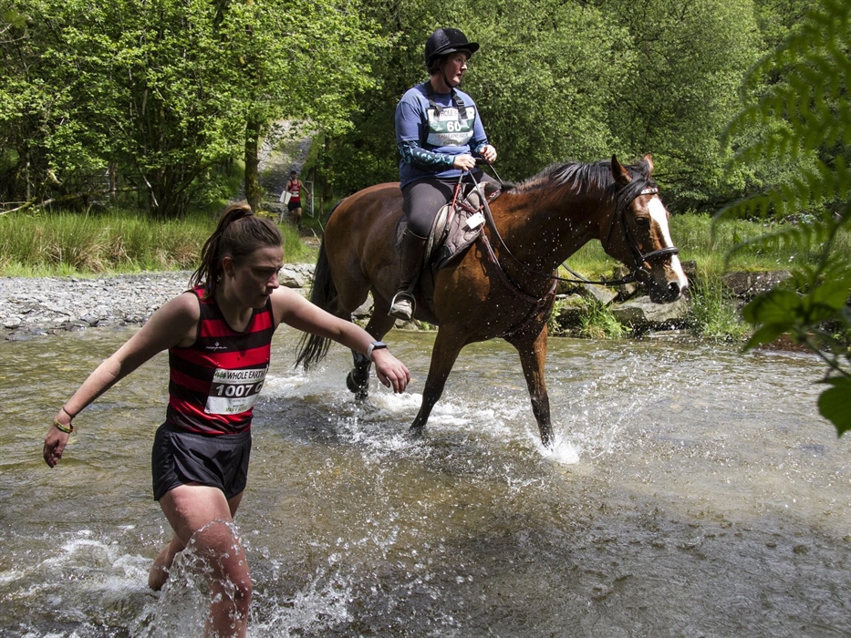 Image Credit: Peter Barnett