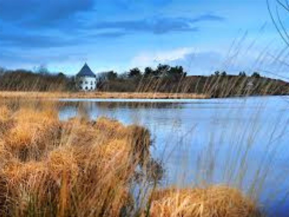 Llyn Llech Owain Country Park