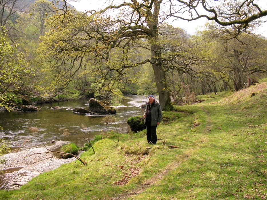 The River Wye farm at the edge of the farm at Nannerth Country Holidays