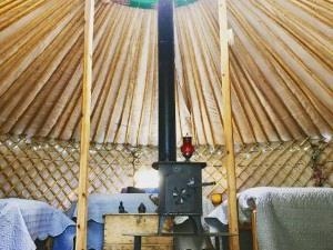 Yurts & Camping Pods @Tregroes