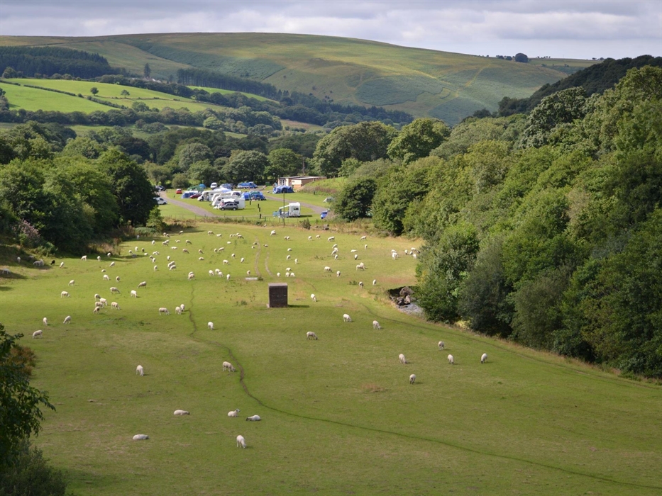 Our Welsh from Gilfach Goch