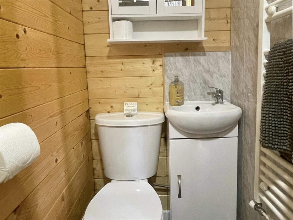 Ensuite bathroom with flushing toilet