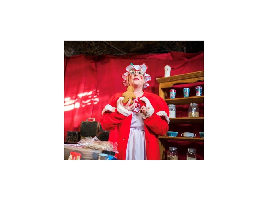 Christmas @ Cantref Adventure Farm