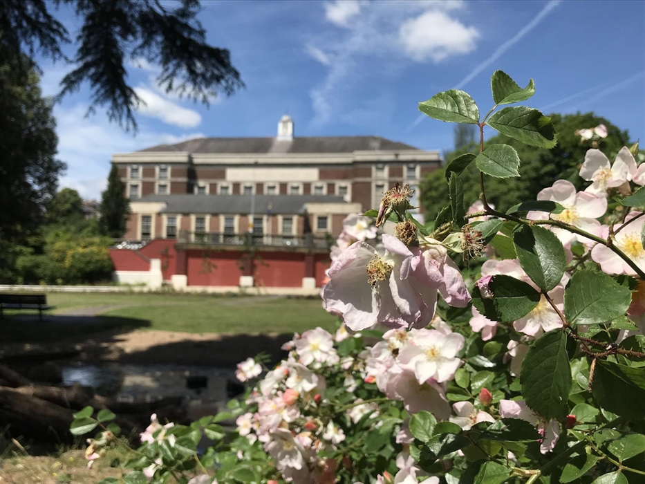 Looking across towards the Memo Arts Centre building from Gladstone Gardens