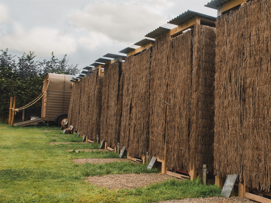 Belan Bluebell Woods