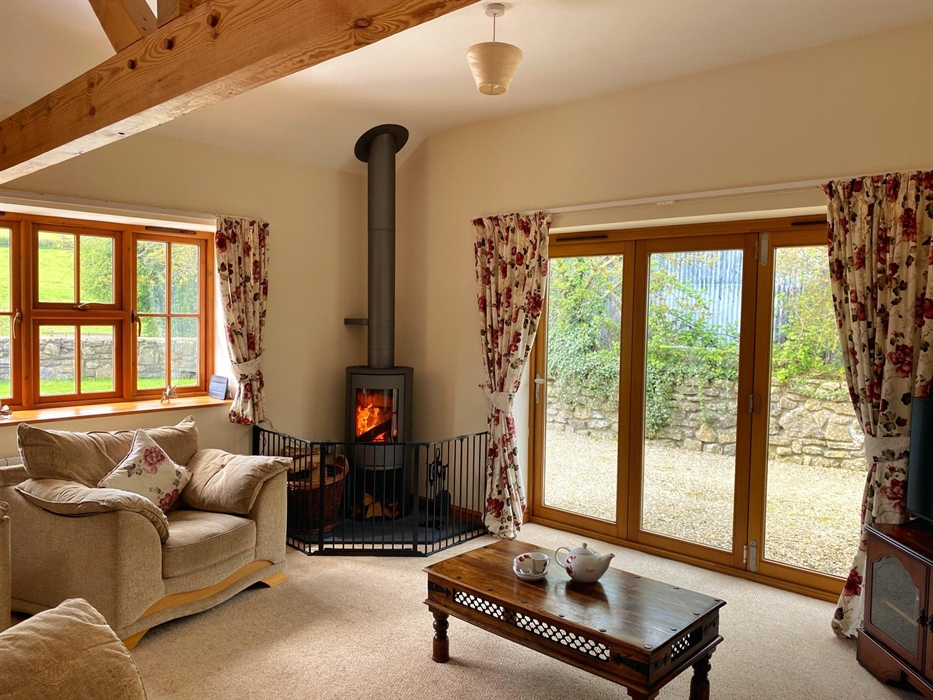 Log Burner in Living Room