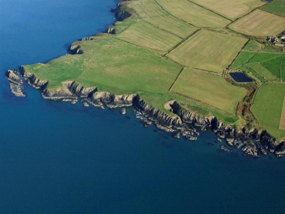 Cardigan Island Coastal Farm Park