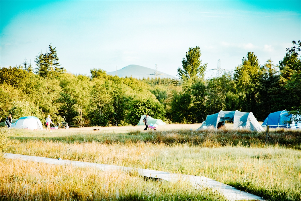 Camping area with long grass, few pitched tents, and boardwalk over the marsh