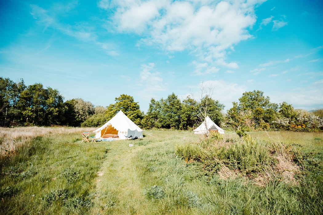 Two pre-pitched unfurnished canvas tents in the meadow