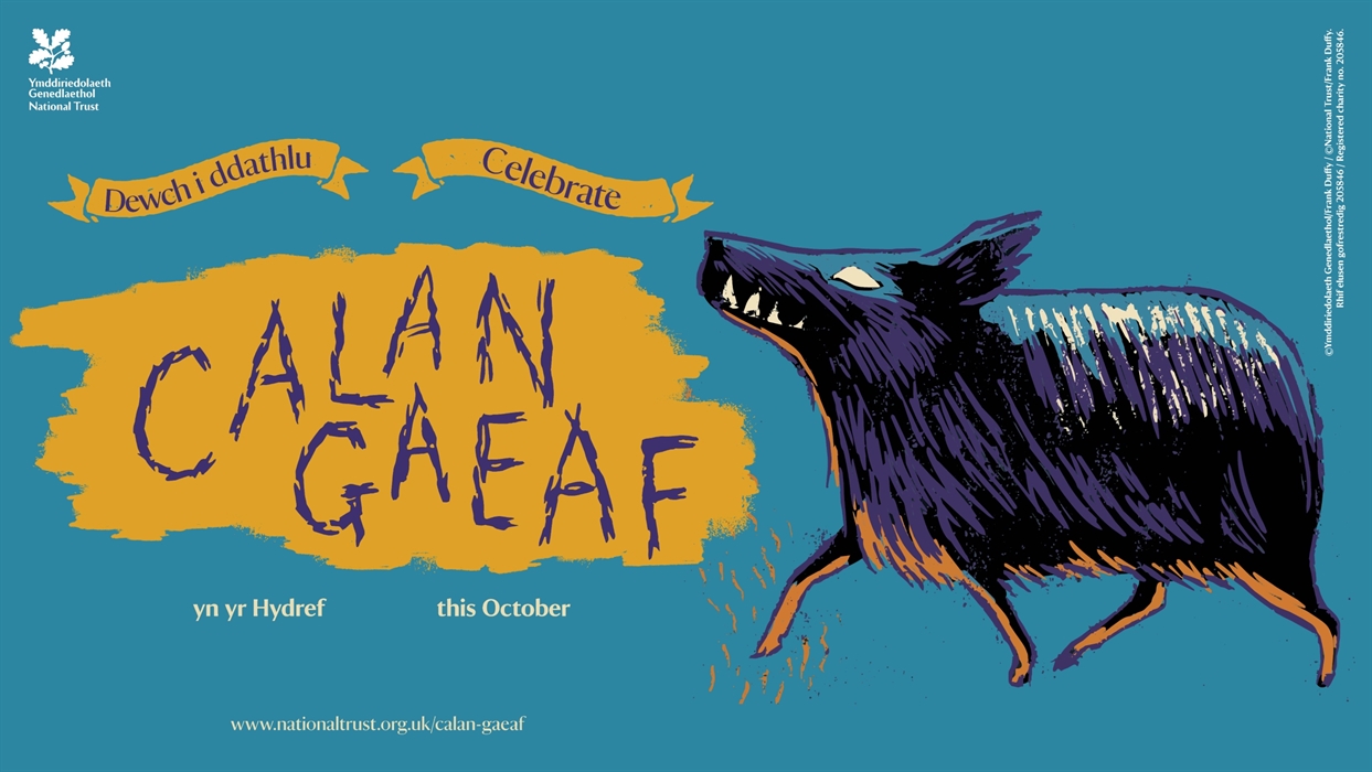Celebrate Calan Gaeaf at Penrhyn Castle this October half term