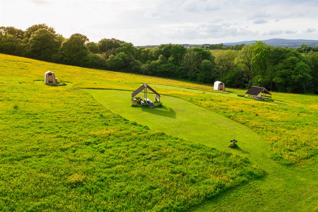 Tree Field Camping