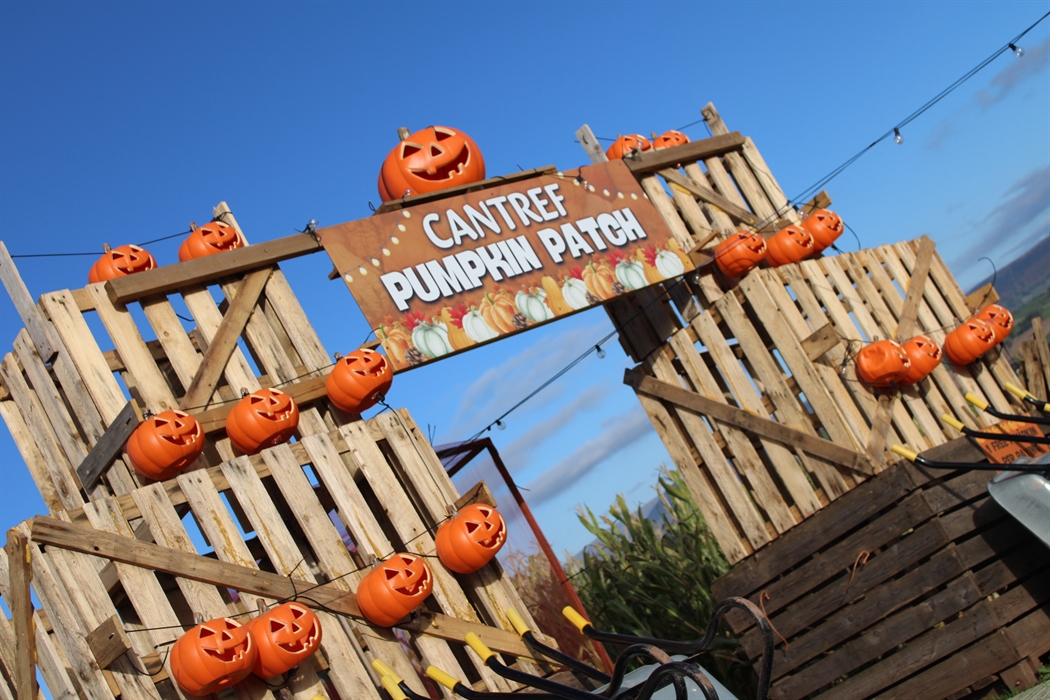 Pumpkin Festival @ Cantref 2026 Wales