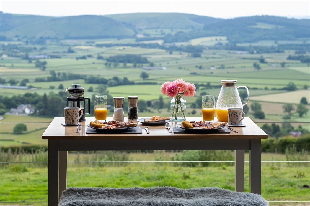 Alpacas Rest, Wales