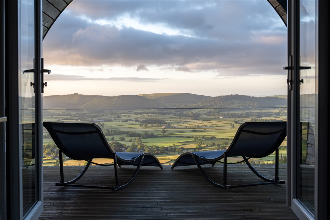 Alpacas Rest, Wales