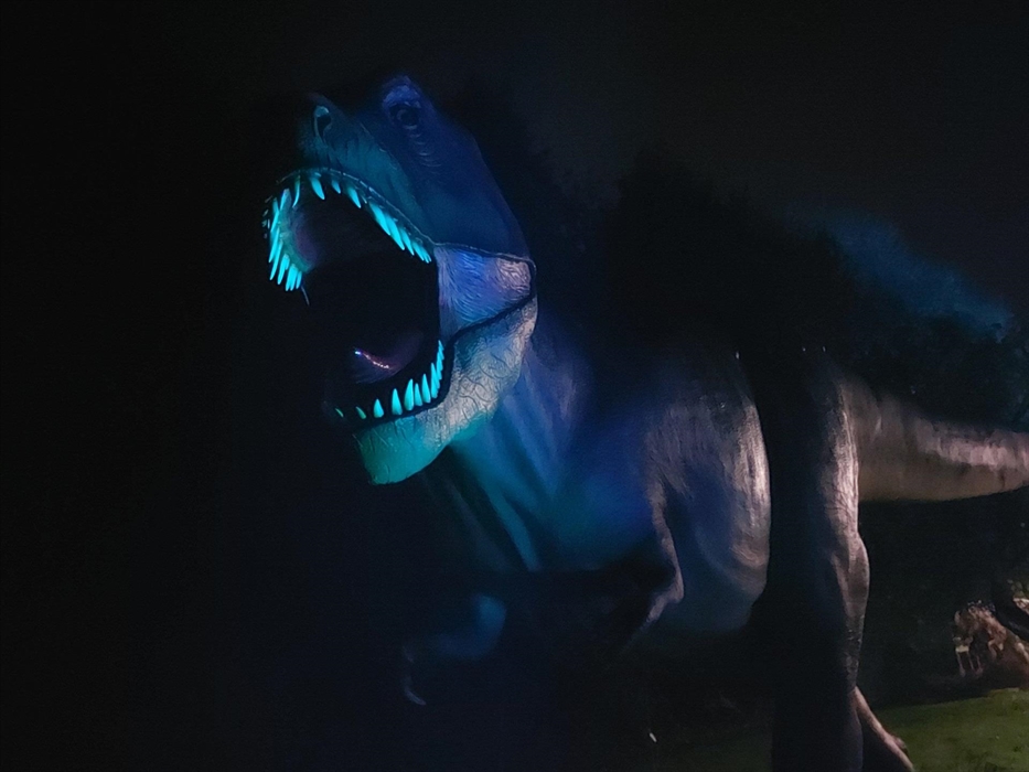 The Dinosaur Adventure