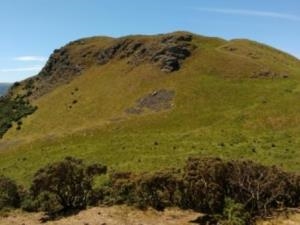 Image Credit: Montgomeryshire Wildlife Trust