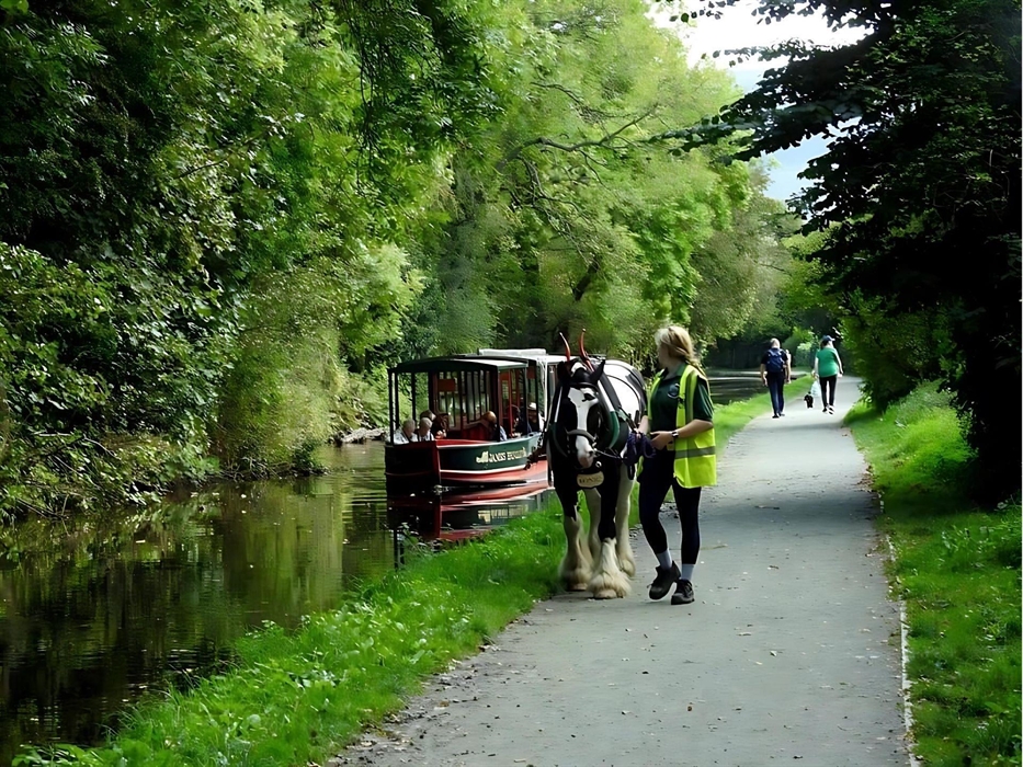 Llangollen Wharf Horse Drawn Boat as it travels a long the Llangollen canal.