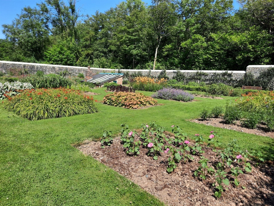 Flowerbeds in the walled garden at Scolton Manor