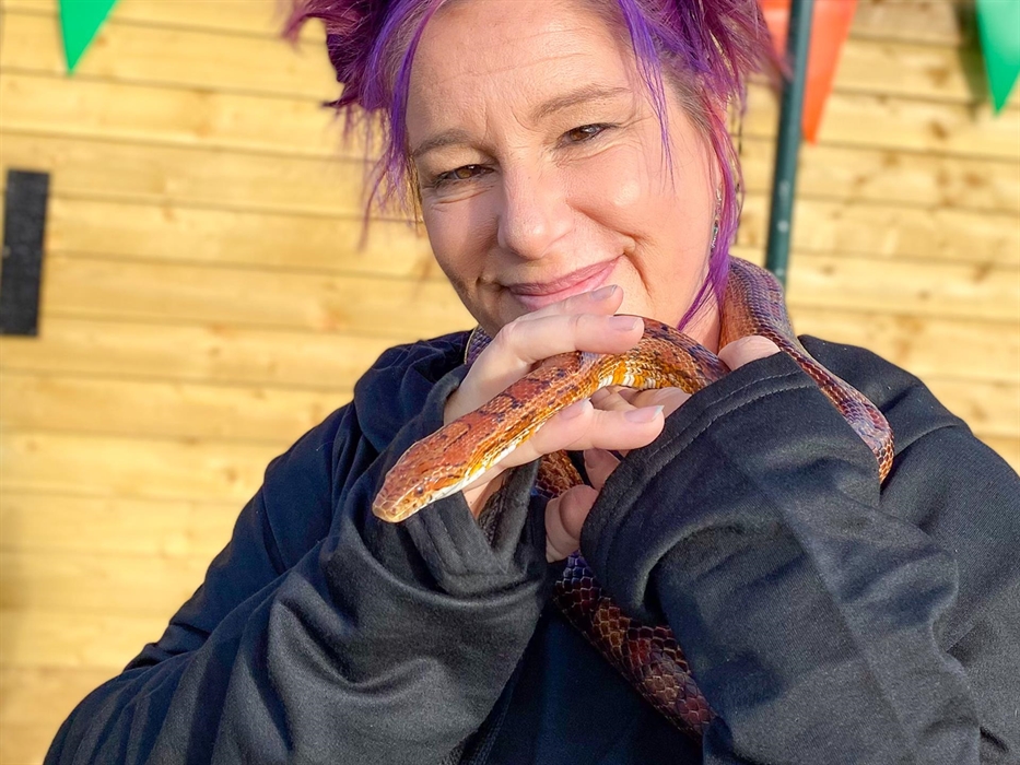 Meet the Creepy Critters!