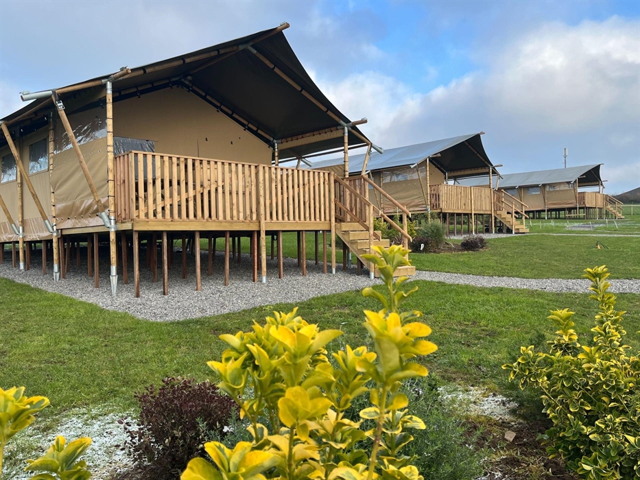 Exterior image of three raised wooden and canvas safari tent structures and landscaping