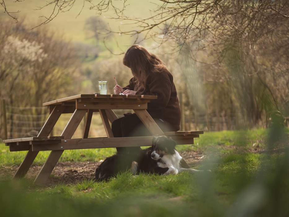 A perfect artists retreat under The Glade