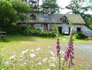 Gilfach Nature Reserve