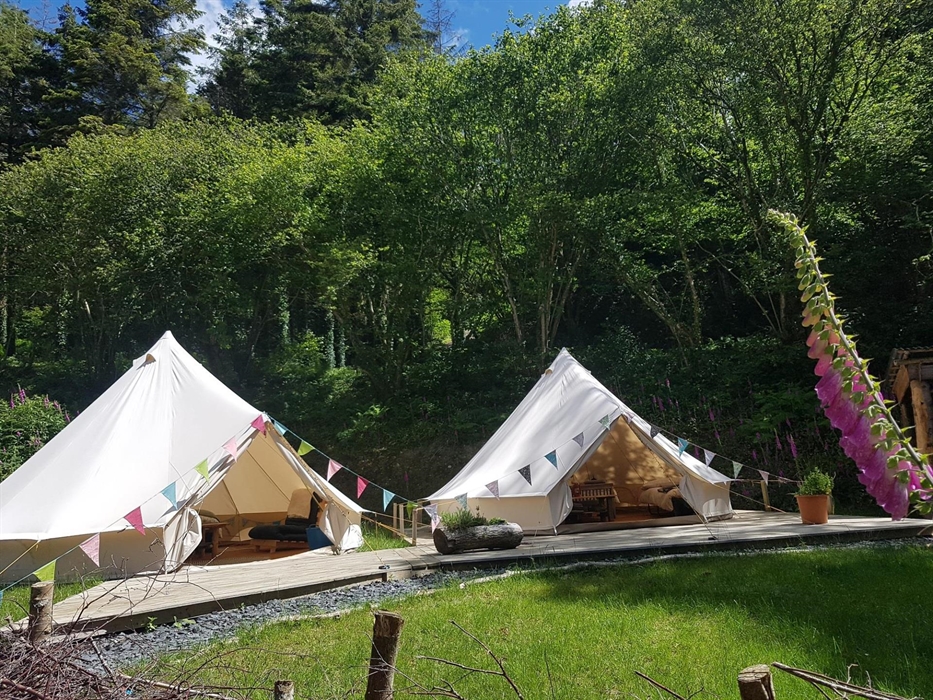 Foxglove Bell tents