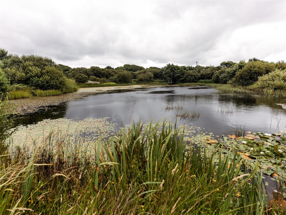 Lower Lochturffin Lake View