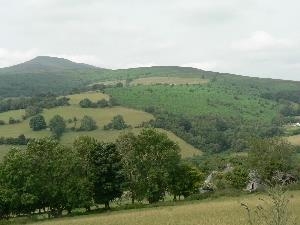 Hafod & Cuddfan