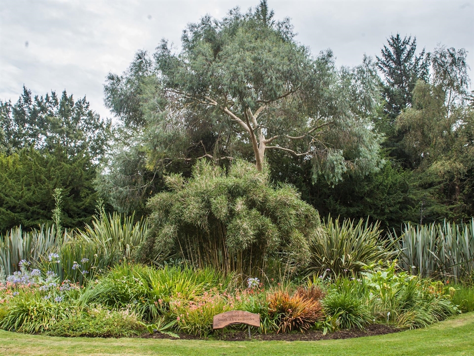 Treborth Botanic Garden