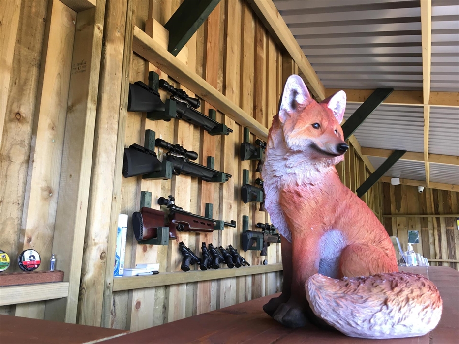 Foxcombe Air Rifle and Pistol Shooting Range